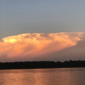 Meet your Posher, Sydney